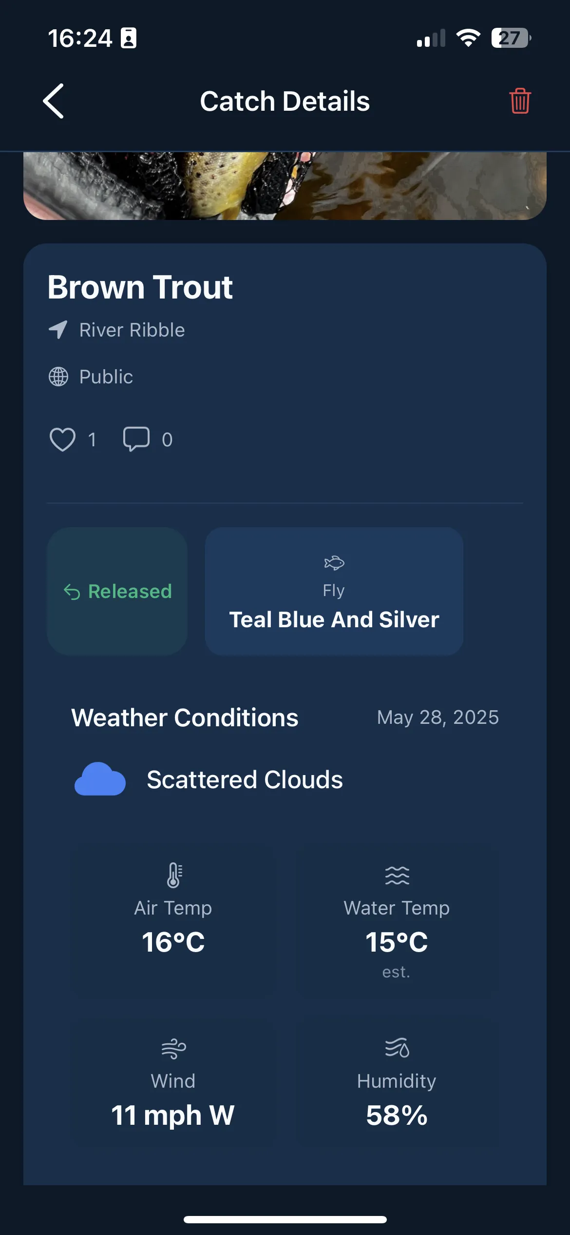 Catch log tracking brown trout and salmon in UK rivers